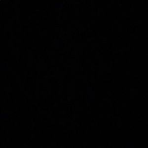 Meet your Posher, Lucy